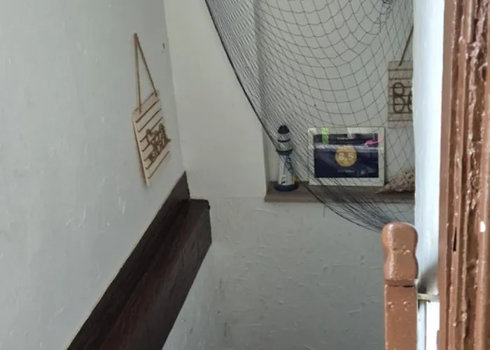 Rybitwa גדינייה